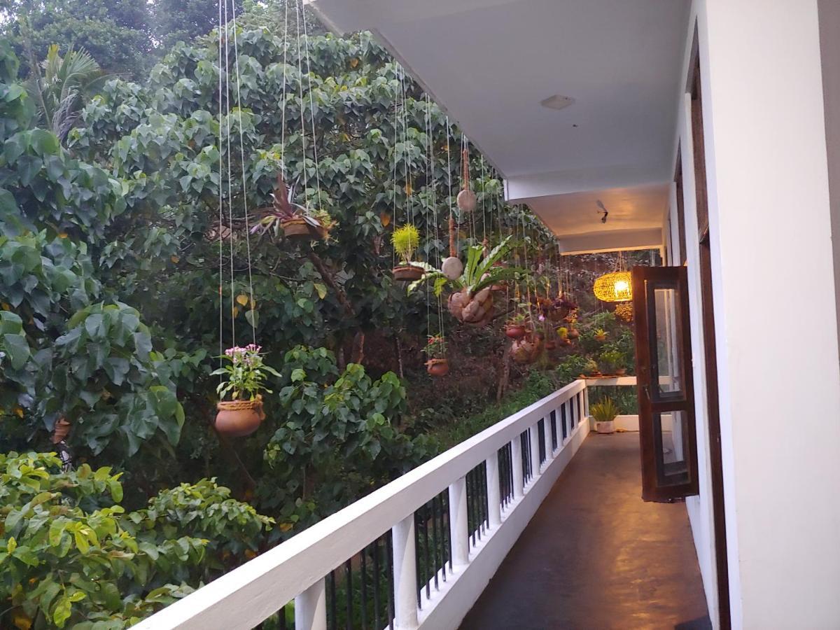 Daasa Guest Mirissa Hotel Bagian luar foto
